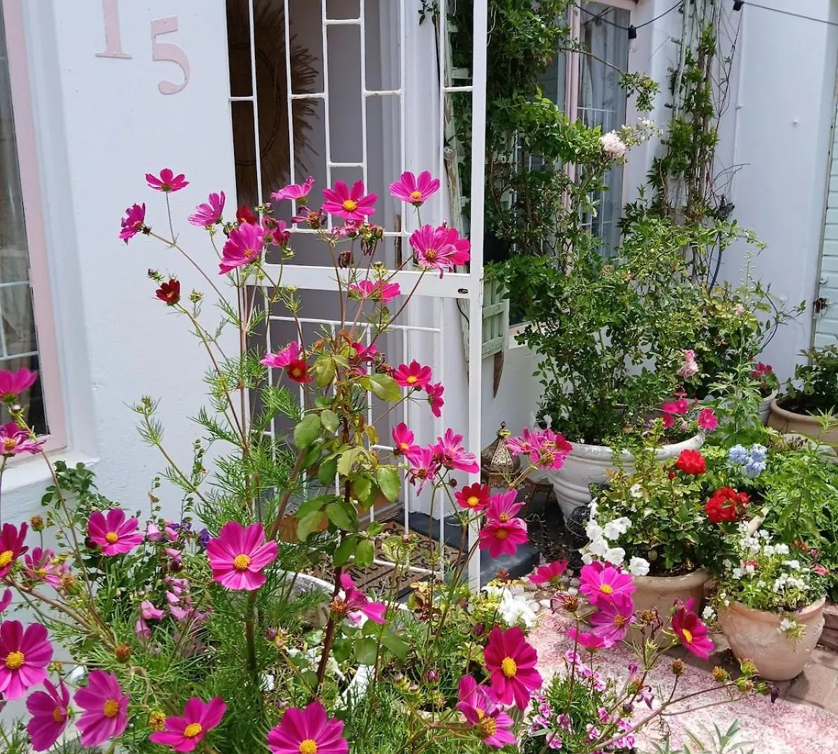 Sea Rose Cottage With Hot Tub Dido Valley Tatil Evi